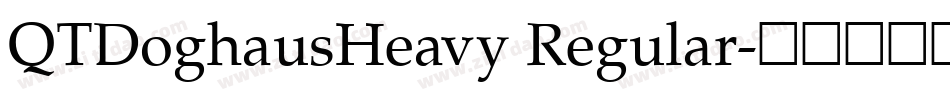 QTDoghausHeavy Regular字体转换